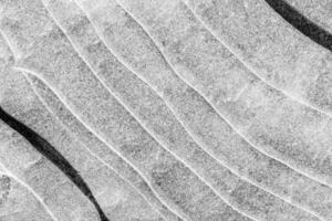 Texture of ice in the winter. Abstract background of frost for design, photographed closeup. photo