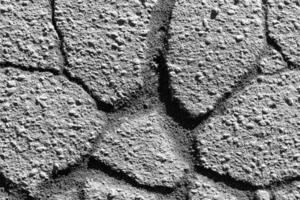 Texture of gray asphalt. Abstract background for design. photo