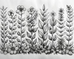 An outline illustration of different types of trees. photo