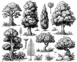 An outline illustration of different types of trees. photo