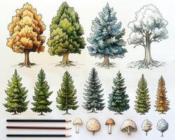 An outline illustration of different types of trees. photo