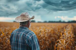 A man wearing a straw hat stands in a field of corn under the sky photo