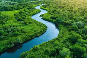 Aerial view of a river meandering through a vibrant forest ecosystem photo