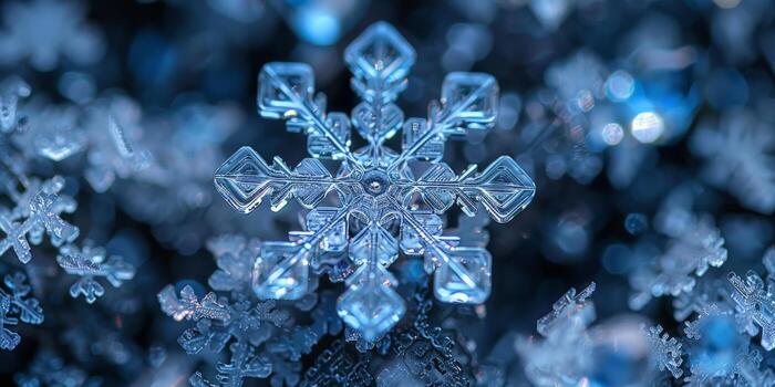 A detailed image of a snowflake against a dark backdrop photo