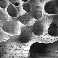 A black and white photo showing a sponge with porous holes