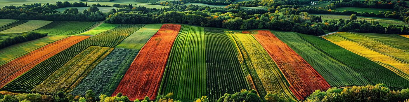 An aerial view captures a colorful field with trees in the backdrop photo