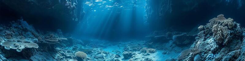 Sun shines through water on coral reef in the ocean photo