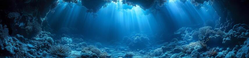 The sun is shining beautifully through the corals in the azure ocean photo