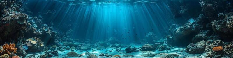 The sun illuminates the water within a vibrant coral reef photo