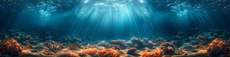 Sunlight filters through water above coral reef in azure sea photo
