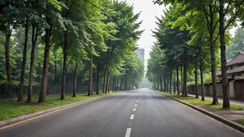 an empty road lined with trees in the middle of a forest photo