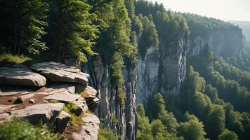 beautiful views of cliffs with trees and extensive forests photo