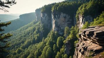 beautiful views of cliffs with trees and extensive forests photo