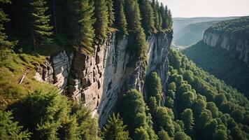beautiful views of cliffs with trees and extensive forests photo