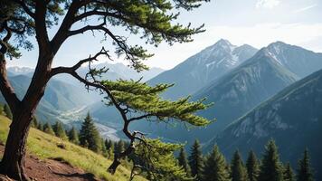 a view of the mountains from a mountain top photo