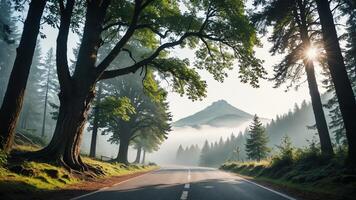 view of a quiet road in the middle of a forest with trees, shining sun, and beautiful mountain views photo