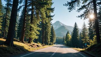 view of a quiet road in the middle of a forest with trees, shining sun, and beautiful mountain views photo