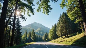 view of a quiet road in the middle of a forest with trees, shining sun, and beautiful mountain views photo