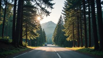 view of a quiet road in the middle of a forest with trees, shining sun, and beautiful mountain views photo