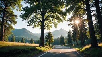 view of a quiet road in the middle of a forest with trees, shining sun, and beautiful mountain views photo