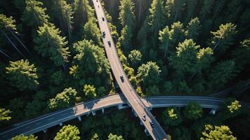 aerial view of the highway, overpass in the middle of the forest photo
