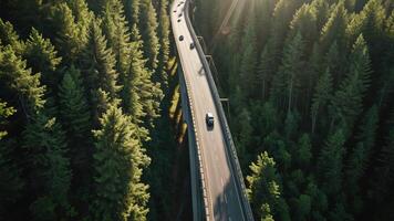 aerial view of the highway, overpass in the middle of the forest photo