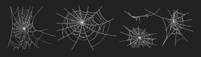 Spooky halloween old spider web with various sizes and shapes. Old cobweb set illustration. vector