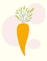 Bright carrot on a background with pink circles. Vegetable illustration in flat style vector