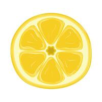 Slice of lemon, a citrus fruit often used as a garnish or flavoring in food and drinks. illustration vector