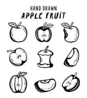 Apple Fruit hand drawn concept on white background vector