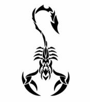 illustration graphics of tribal art abstract design scorpion vector