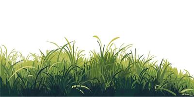 Green grass isolated flat design graphic illustrated on white background. Grass bushes side view object template. vector