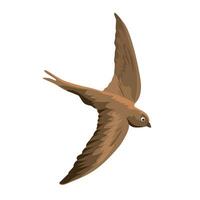 illustration of beautiful fast swift flying vector