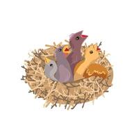 small four chicks sitting in nest vector