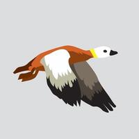 Large red duck flies with wings down vector