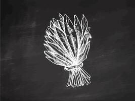 Hand-drawn monochrome sketch of a bunch of greens, spinach. Doodle vintage illustration. Decorations for the menu of cafes and labels. Engraved image on chalkboard background. vector