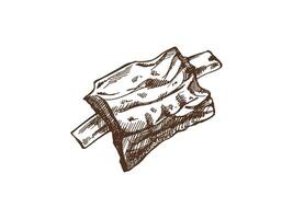 Hand-drawn monochrome sketch of barbecue ribs. Doodle vintage illustration. Decorations for the menu of cafes and labels. Engraved image. vector