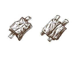 Hand-drawn monochrome sketch set of barbecue ribs. Doodle vintage illustration. Decorations for the menu of cafes and labels. Engraved image. vector