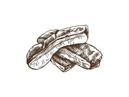 Hand-drawn monochrome sketch of barbecue ribs. Doodle vintage illustration. Decorations for the menu of cafes and labels. Engraved image. vector