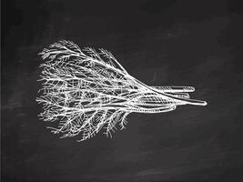 Hand-drawn monochrome sketch of a bunch of greens, dill. Doodle vintage illustration. Decorations for the menu of cafes and labels. Engraved image. vector