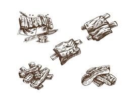 Hand-drawn monochrome sketch set of barbecue ribs. Doodle vintage illustration. Decorations for the menu of cafes and labels. Engraved image. vector