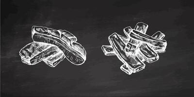 Hand-drawn monochrome sketch set of barbecue ribs. Doodle vintage illustration. Decorations for the menu of cafes and labels. Engraved image on chalkboard background. vector