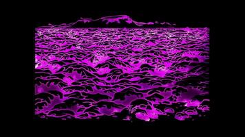 Neon frame effect lava fields, typical of Icelandic landscapes, glow, black background. video