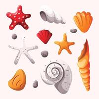 seashells element set, summer element set vector