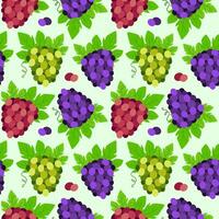 Seamless pattern with bunches of purple, red and green grapes. Illustration with fruit. Summer background with berries of grapes and green leaves. vector