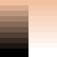 Cream Gradient Color Palette vector