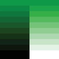 Green Gradient Color Palette vector