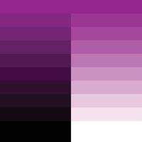 Purple gradient Color Palette vector
