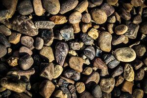 the texture of small stone pebbles photo