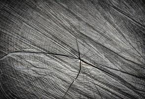 the texture of a wooden slice with cracks photo
